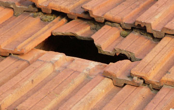 roof repair Wickhampton, Norfolk