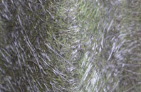 Wickhampton fibreglass roof work